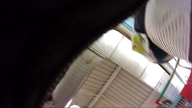 Порно Онлайн Без Регистрации Сочные мамочки лесбиянки с большими сиськами замутили горячую оргию