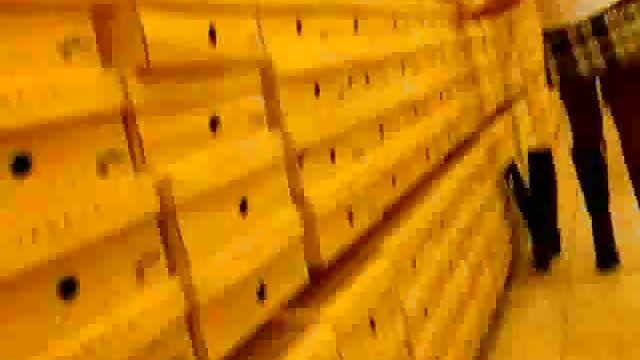 Порно Онлайн Без Регистрации Насадил суку на длинный черный член