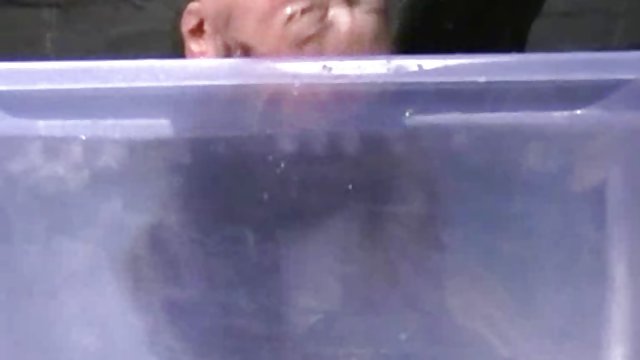 Порно Онлайн Без Регистрации Гламурная красотка из колледжа трахается в позе раком